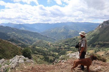 man landscape dog green mountain
