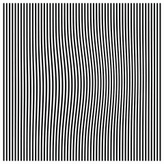 black and white stripes lines wallpaper patten zebra print  