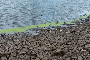 pollution of nature, plastic and rubber in water. environmental disaster