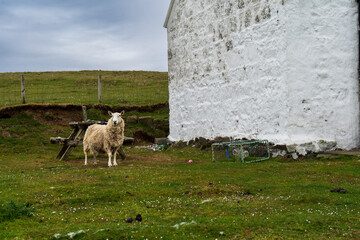 Schottland