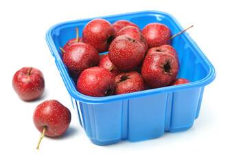 Hawthorn on a white background 