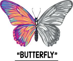 Set of butterflies. Butterfly isolated on white. Half of its wings are a mixture of blue, green, orange and red, while the other half is black/white and gray.