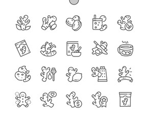 Ginger root. Vegetable. Fresh ingredient for cooking, healthy spice for drink. Food shop, supermarket. Pixel Perfect Vector Thin Line Icons. Simple Minimal Pictogram.