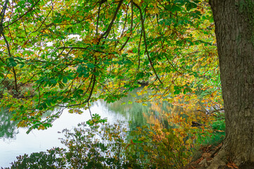 River Carrion in Sotillo Park and Huerta del Obispo in Palencia. Spain