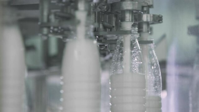 Automated production line at the Dairy Food Facility. Multiple plastic milk bottles are being filled with milk on an automated production line. Pouring milk on automated production line.