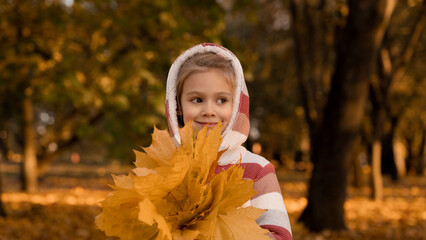 Close up of happy girl holds bouquet of yellow maple leaves in autumn park in evening at sunset. Leisure, weekend outdoors