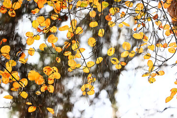 autumn weather rain landscape, wet season abstract october