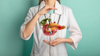 Female doctor with a stethoscope is holding pancreas in the hands. Help and care concept