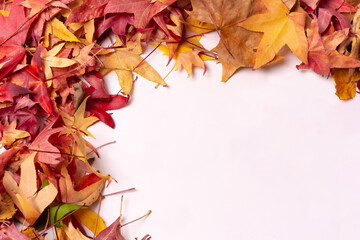 Autumn background, top view of colored frame of leaves isolated on white background