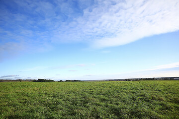 summer road in the field landscape nature meadow