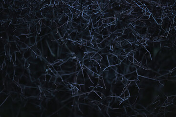 abstract background design texture template wallpaper