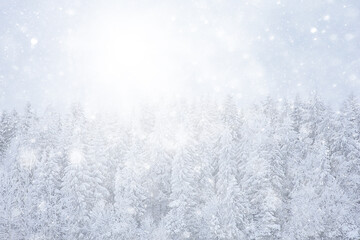 winter background snowfall trees abstract blurred white