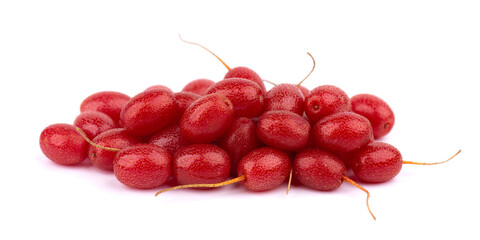 Elaeagnus multiflora isolated on white background. Cherry elaeagnus, cherry silverberry, goumi or gumi berry.