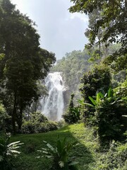 Fototapeta premium sdr