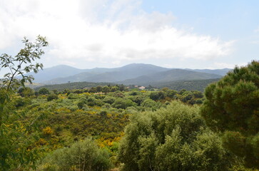Argelès sur mer (Pyrénées Orientales - Occitanie - France)