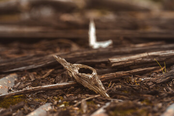 Close up of sticks
