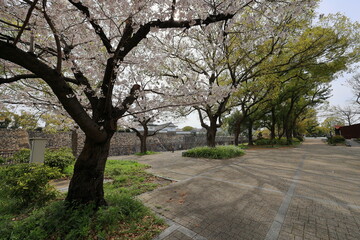 大阪城　大阪　日本