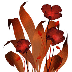 Blooming flowers, plants, transparent background, oriental illustration