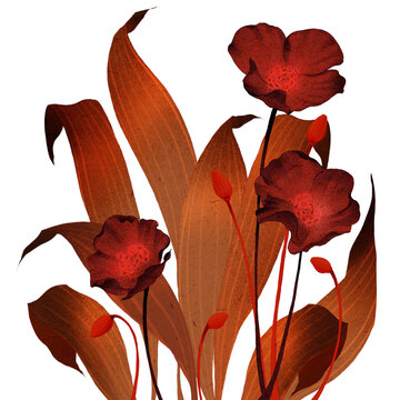 Blooming flowers, plants, transparent background, oriental illustration