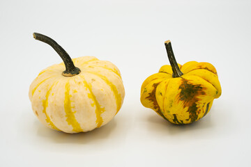 Pumpkins isolated on white background