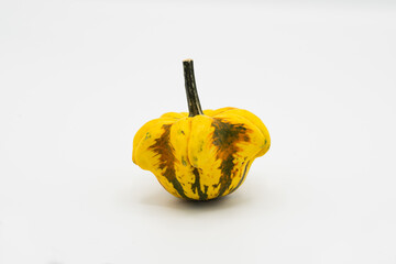 Pumpkin isolated on white background