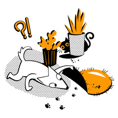 Dog is looking for a cat under the carpet