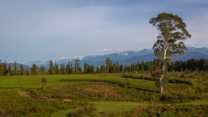 Fresh green plateau in front of hill under sky.