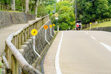 Fototapeta na wymiar 【奈良県】奈良公園