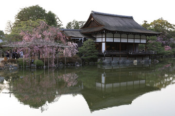 Fototapeta na wymiar 京都・平安神宮 