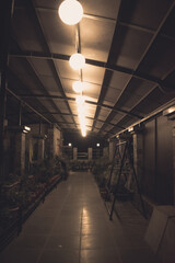 empty corridor with flower pots on the side - light bulbs - romantic vibes
