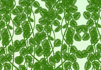 The illustrations and clipart. Abstract image. A group of monstera in the gradient-green frame.