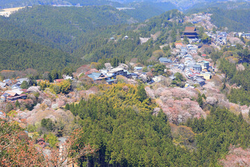 奈良県吉野山の桜と金峯山寺
