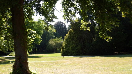 KODAK DIGITAL STILL CAMERA