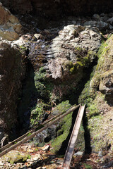 Obraz premium 吉野山の登山道