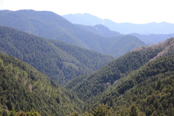吉野山の登山道