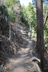 吉野山の登山道