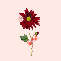 Beautiful flower in parts, patterned stick tape, creative layout on a pastel pink background. 