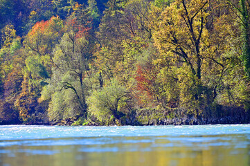 Autumn on the Rhine