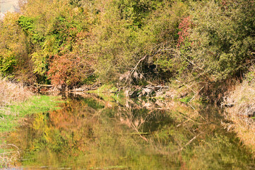 Natural landscape on the Rhine