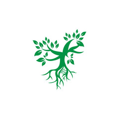 Root and Tree Helix Logo Template. EPS 10