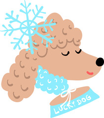 Christmas dog card. Love new year dogs. Winter beautiful cute poodle puppy design. Fur tree and gift boxes. Blue and white greeting.
