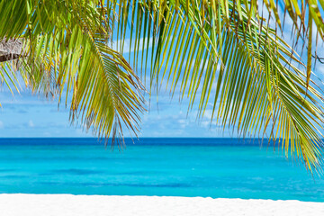 Fototapeta na wymiar Maldive Islands Sand Beach and green palm foliage view