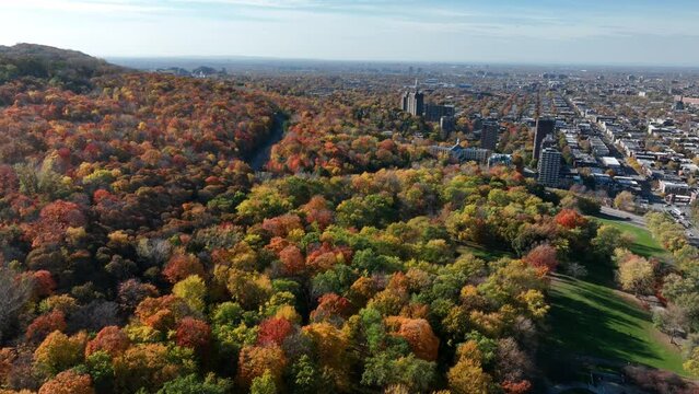 Autumn color on Mont-Royal in Montreal Canada