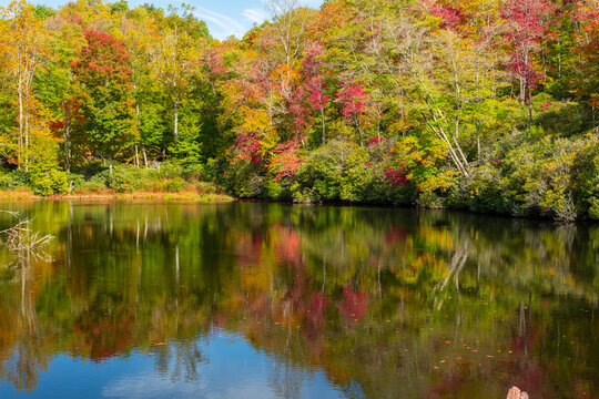 Bright autumn, fall colors, tree leaves aglow with yellow, blue, red, brown, orange, green, mirror reflection in dark blue water of Sims Pond on Blue Ridge parkway near blowing rock NC Horizontal art