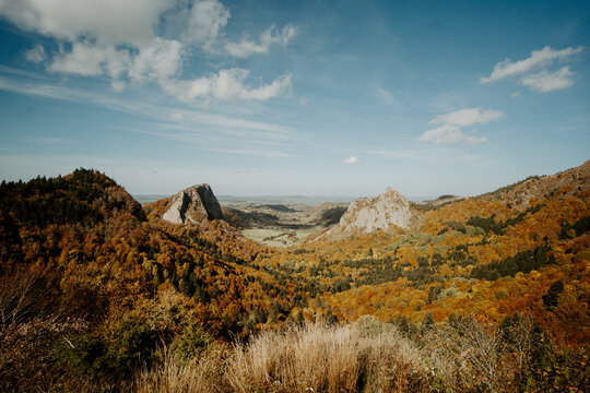 fall landscape with orange tree forest 