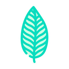 calathea tropical leaf color icon vector. calathea tropical leaf sign. isolated symbol illustration