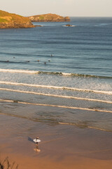 surfer walking on beach with surfers in the ocean