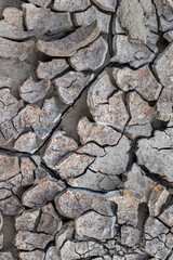 The ground has cracks in the photo from above for a background or graphic design with the concept of drought and death.