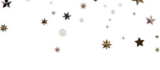 Snowflakes Falling On Snow - Winter Banner