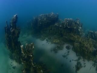 Fototapeta na wymiar microbialites underwater lake looks like city with towers strange scenery abstract